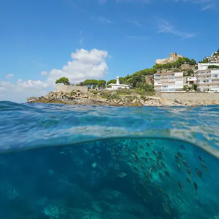 Apartment In Near Playa De Canyelles Roses